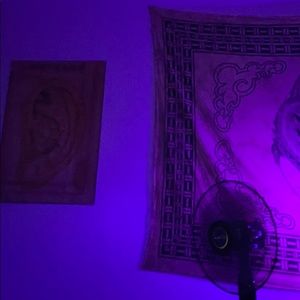 Meet your Posher, Micha